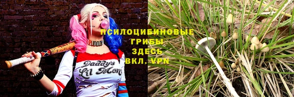 мескалин Абинск