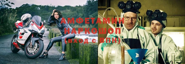 прущие грибы Алзамай