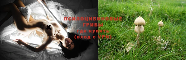 прущая мука Абдулино