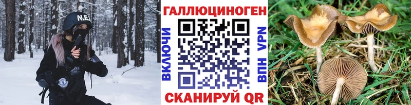 ОМГ ОМГ ССЫЛКА  Серпухов  Псилоцибиновые грибы мицелий 